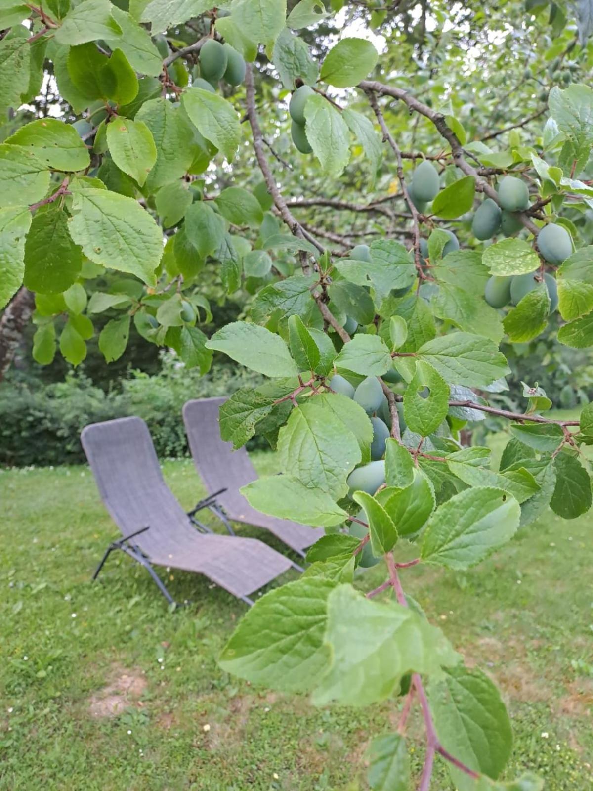 Hotel Tomljanovic Plitvička Jezera Esterno foto
