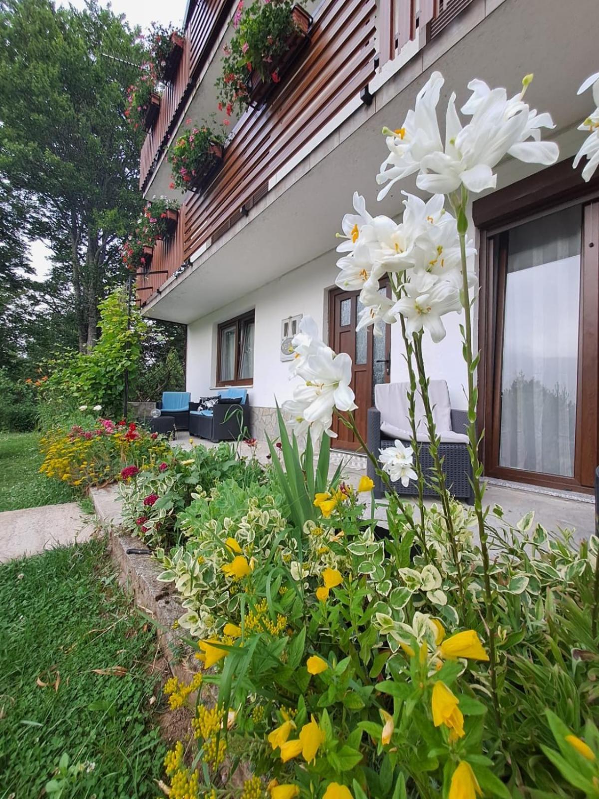 Hotel Tomljanovic Plitvička Jezera Esterno foto
